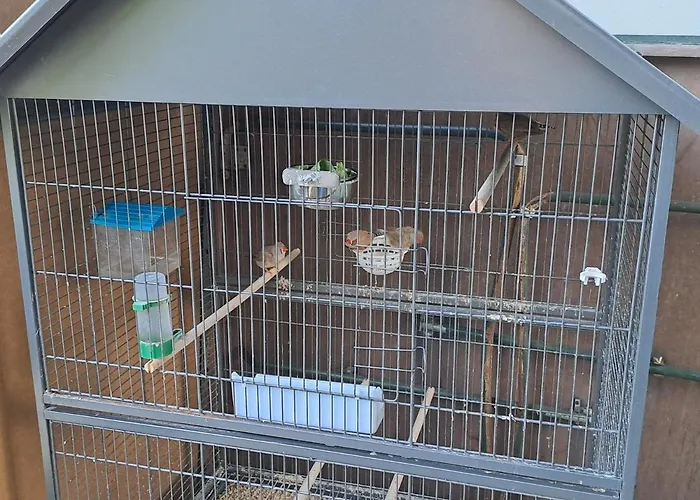 V Rodinnem Se Sdilenou Koupelnou Cernosice